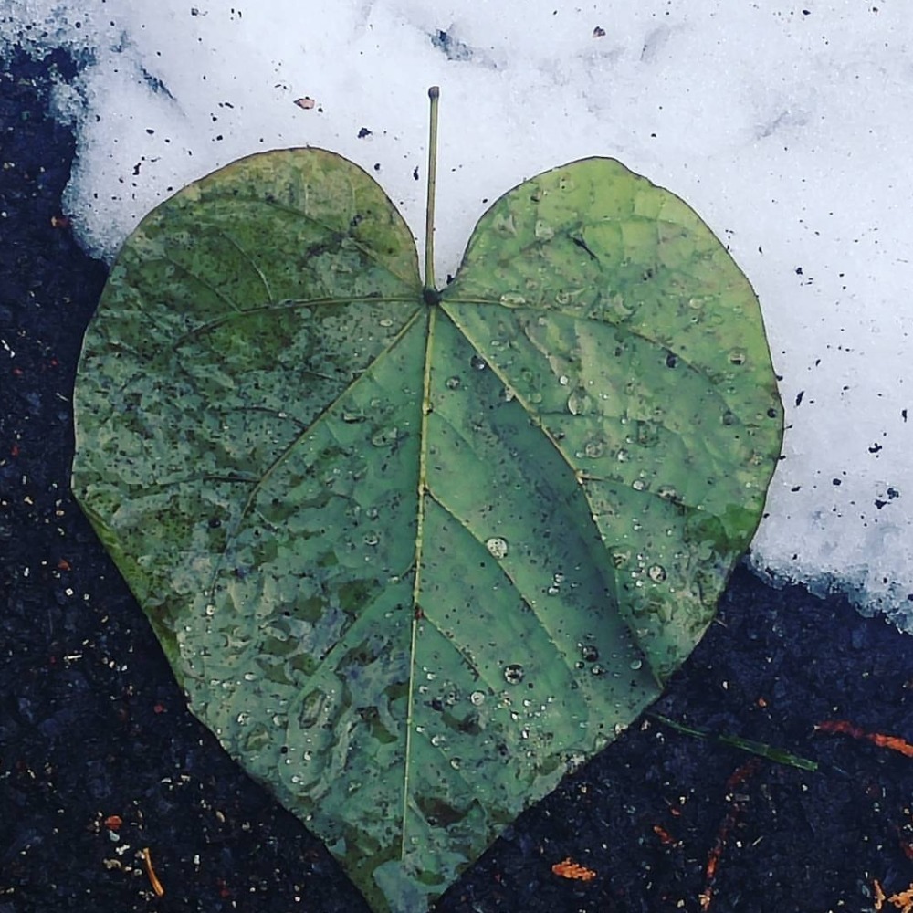 Meet your Posher, Scorpio